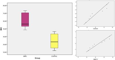 Effect on osseointegration of dental implants treated with carboxyethylphosphonic acid and functionalized with BMP-2: preliminary study on a minipig model